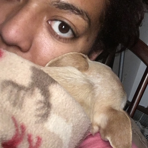 Meet your Posher, Phoenix Marie - Picture 5 of 5